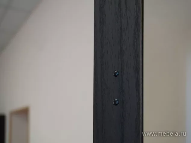 кабинет директора Сидней