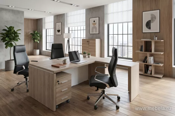 кабинет Терра Гавана