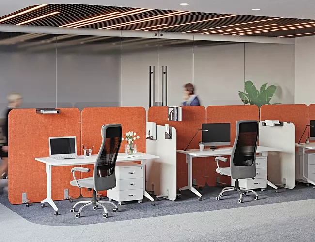 фото перегородки Р-лайн софт №5