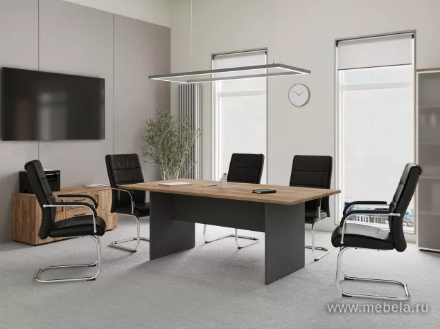 кабинет Проджект Дуб Т