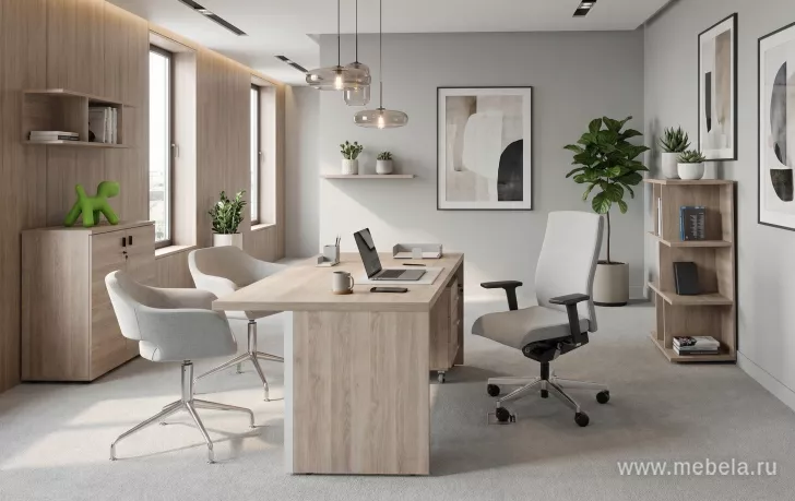 кабинет Терра Гавана