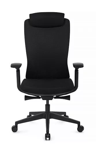 фото кресло RV-Гемини №3