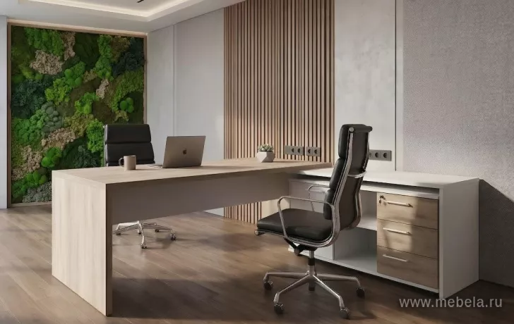 кабинет Кортез +