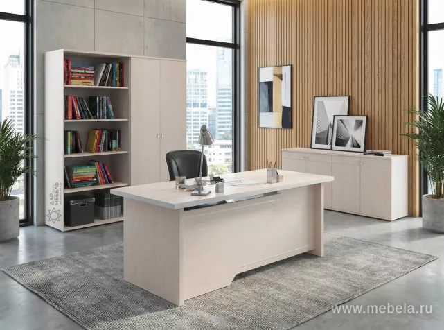 кабинет Зум Дуб