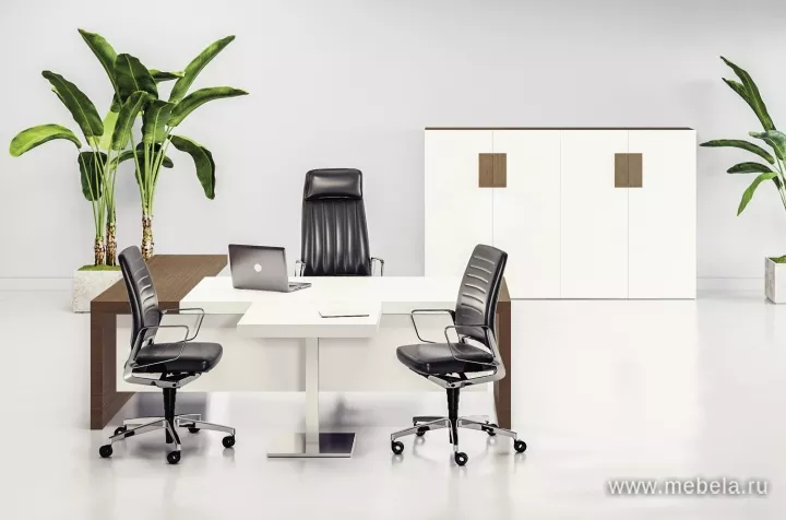 кабинет руководителя Кио