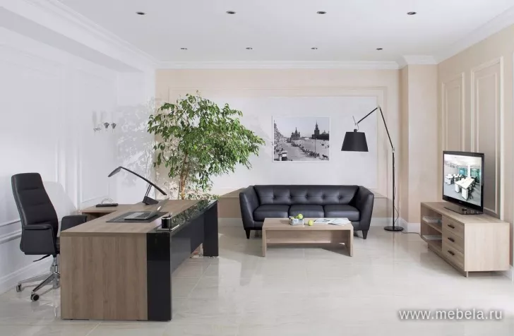 кабинет директора Лава