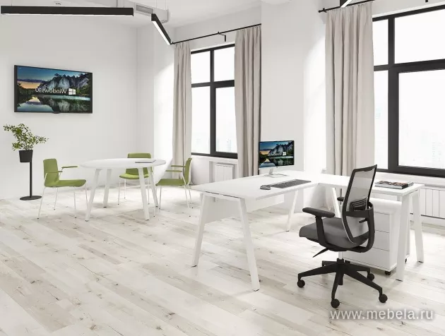 Офисная мебель Арена
