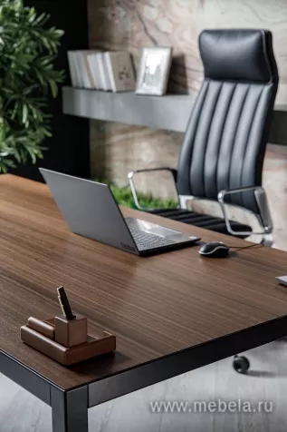 кабинет Энцо