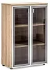 Офисный шкаф стекл. двери