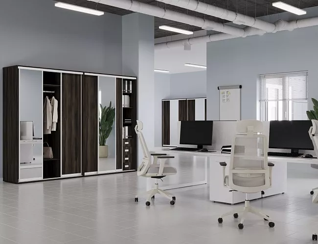 фото Шкафы-Купе Марис Мали №3