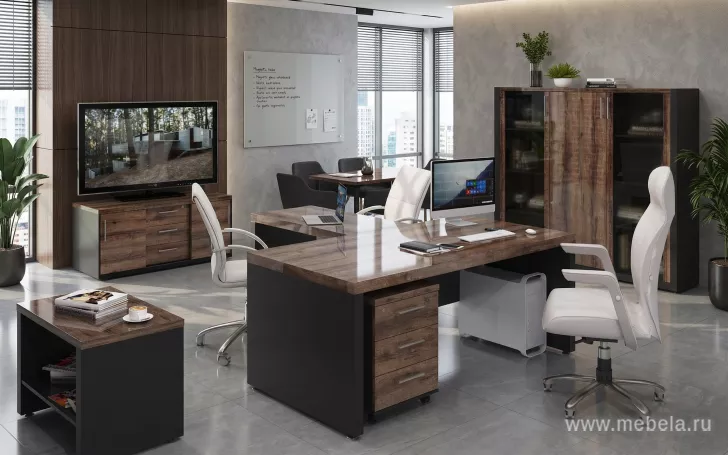 кабинет Верона New