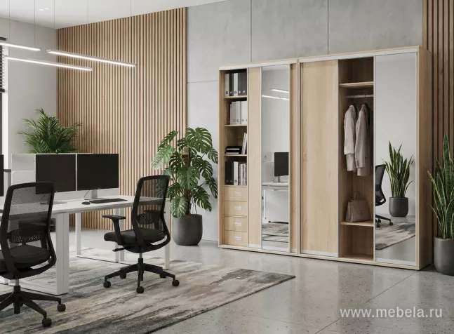 Шкафы-Купе Марис Акация