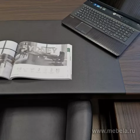 кабинет директора Сидней