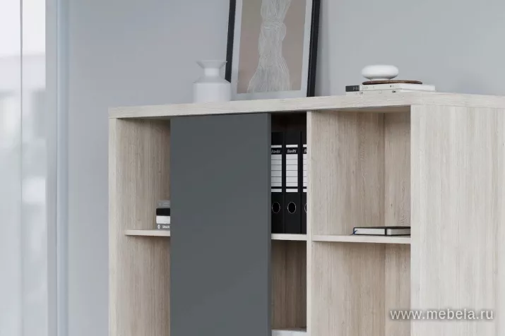 кабинет Зион Шамони