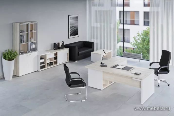 кабинет Зион Шамони