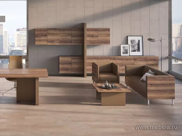 кабинет руководителя Эра