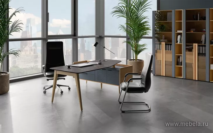 кабинет Ремо