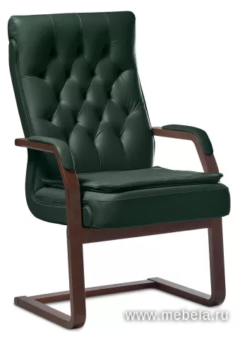 кресло Дарвин C (с подушкой)