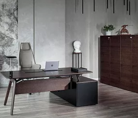 кабинет директора Рэйл