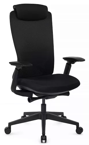 фото кресло RV-Гемини