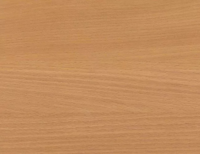 фото ресепшн Бонус Бук №3