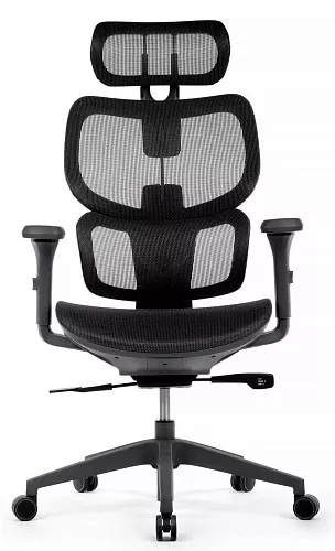 фото кресло RV-W-228 №2