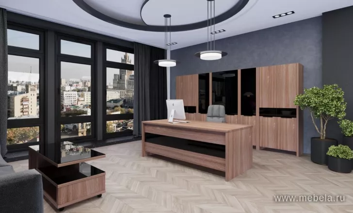 кабинет Акцент Шимо