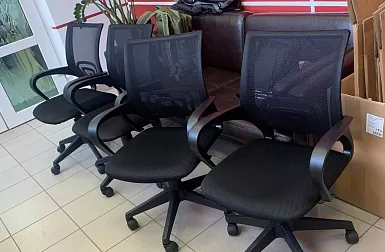 Интерколор