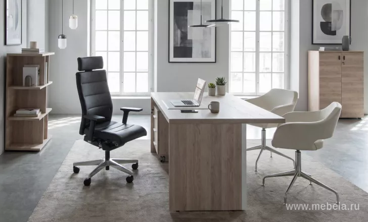 кабинет Терра Гавана