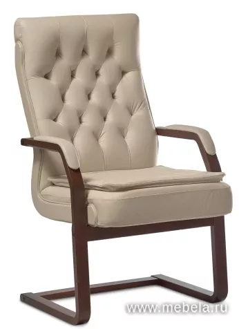 кресло Дарвин C (с подушкой)