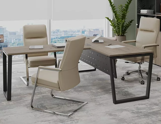 фото кабинет Проджект Вяз Т №3