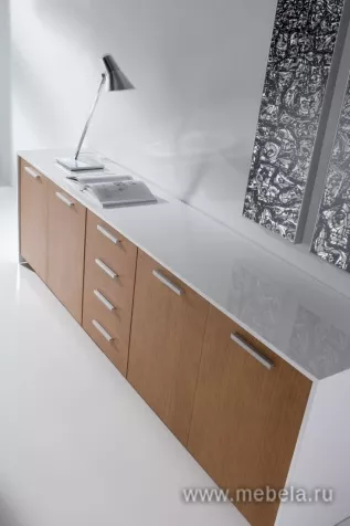 кабинет Белеса