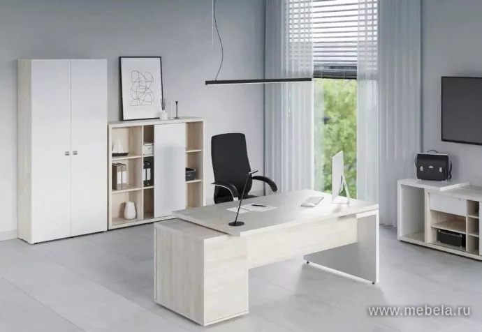 кабинет Зион Шамони