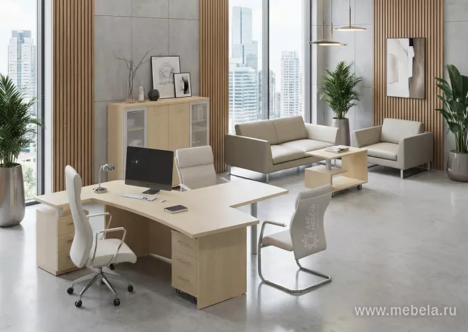 кабинет Фёст Клён 