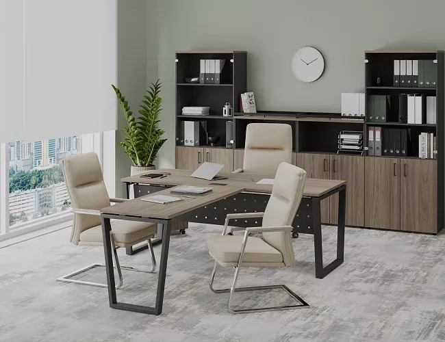 фото кабинет Проджект Вяз Т №2