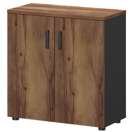 Офисный шкаф для документов низкий закрытый