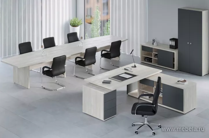 кабинет Зион Шамони