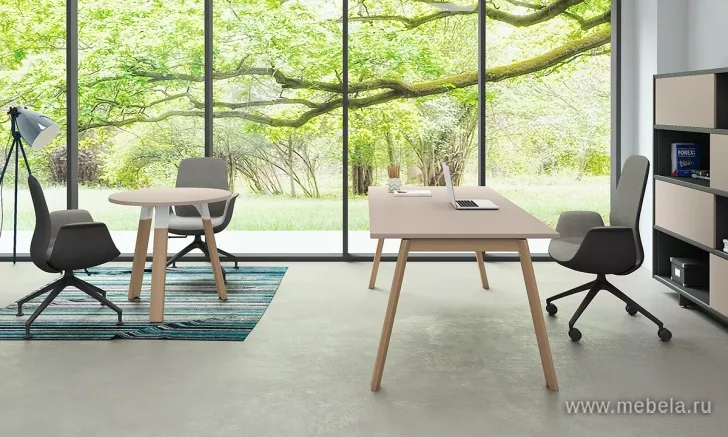 кабинет Artwood Executive