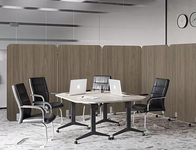 фото перегородки Р-лайн №5