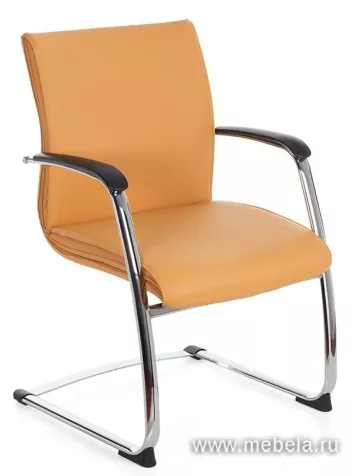 кресло Берн D40