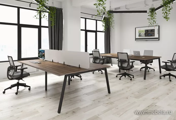 Офисная мебель Арена