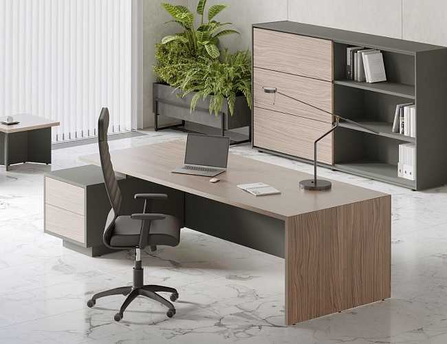 фото кабинет Dali Hut №2