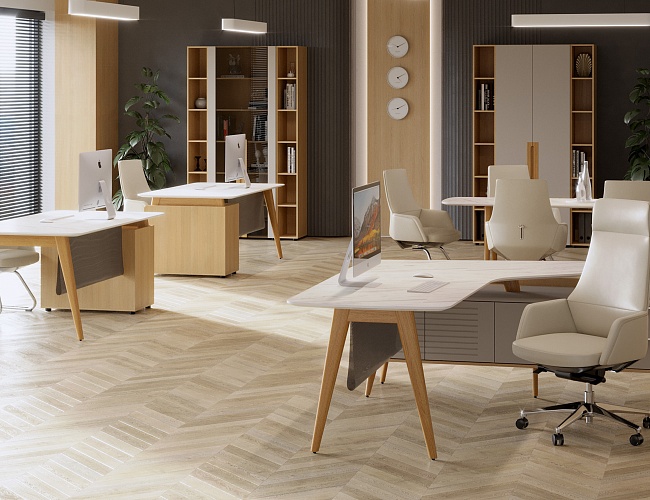 фото кабинет Ремо Белый №3