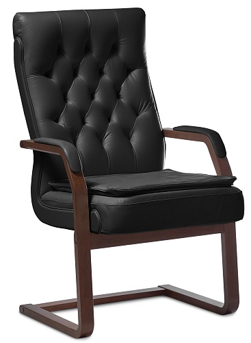 фото кресло Darwin C (с подушкой)