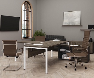 фото кабинет Project Elm  №2