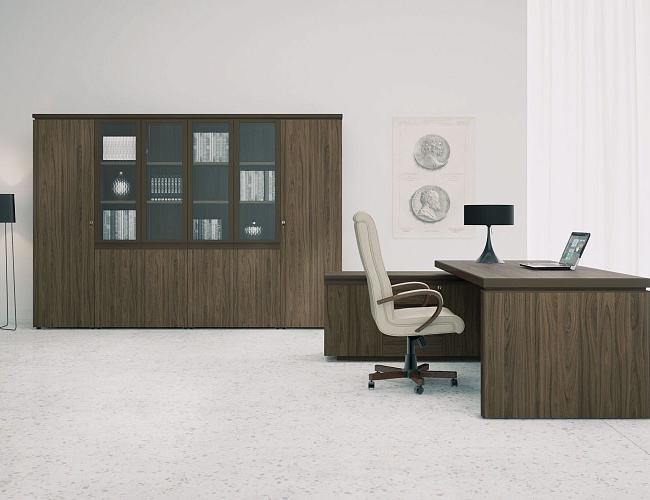 фото кабинет директора Mark-II №5