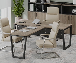 фото кабинет Project Elm T  №4