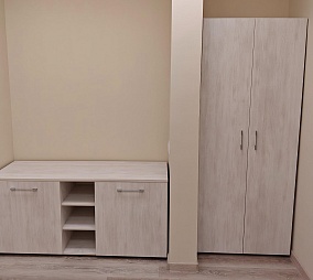 Проект Алион