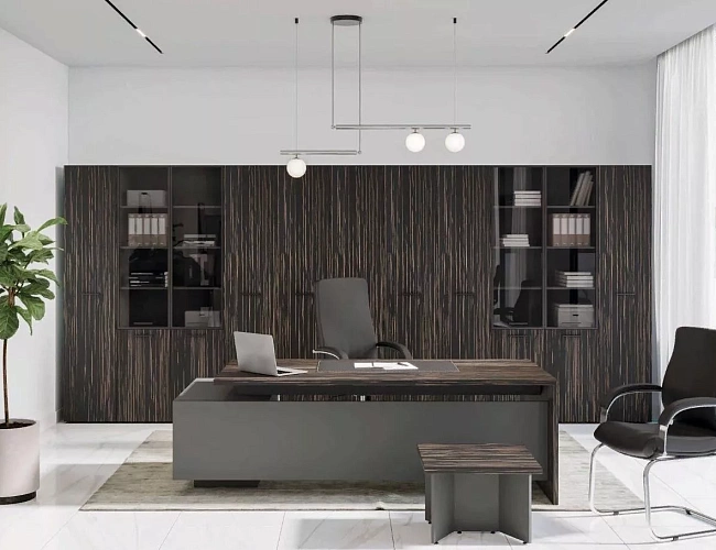 фото мебель руководителя Dali №4