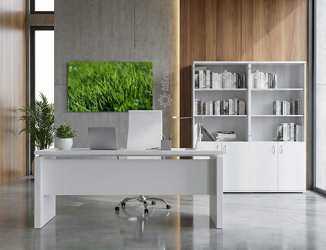 фото кабинет Стил Эво Белый